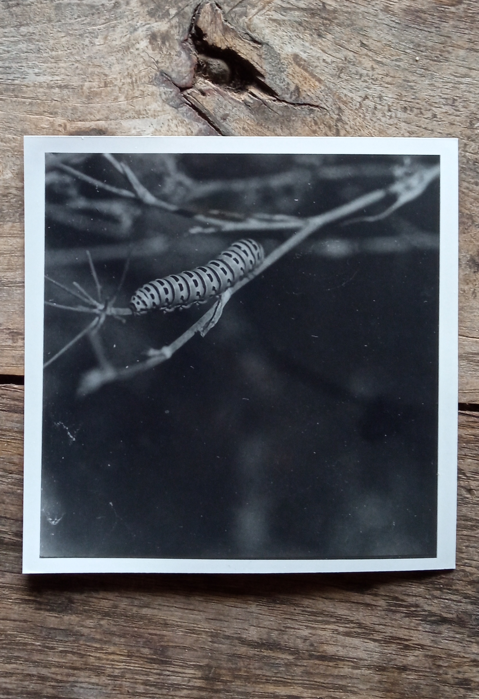 got to start somewhere