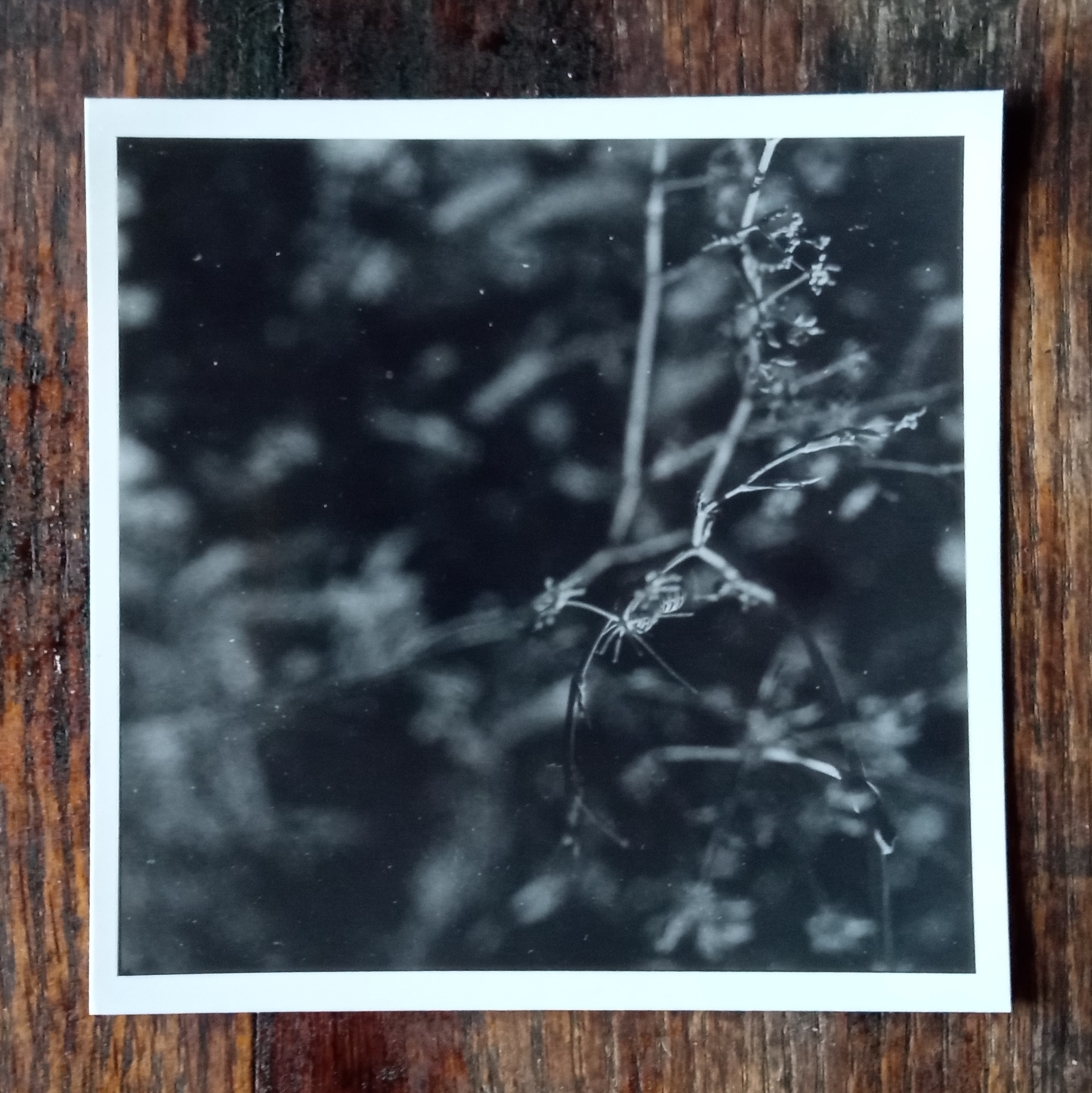 got to start somewhere