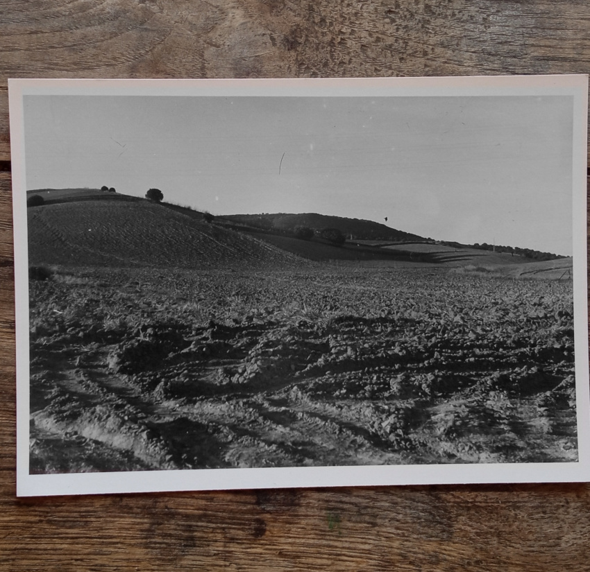 ploughed field